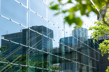 Green tree and glass office building, Eco-friendly building in modern city.