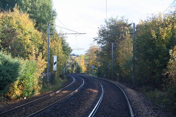 railroad tracks in the forest