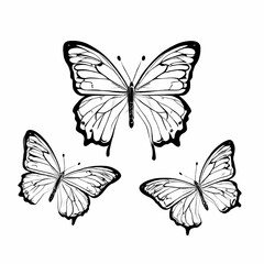 Obraz premium Outlined butterflies silhouette on white background, AI Generated