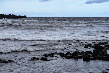 ハワイを旅行する
