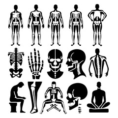 Man bone silhouette in one set of vector illustration style with white background