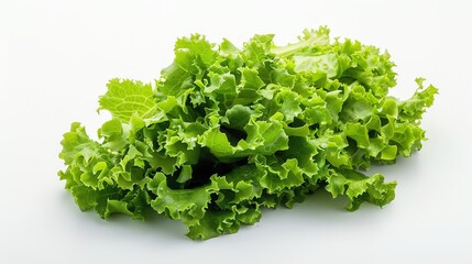 Obraz premium A close-up of a bunch of fresh green lettuce leaves on a white background.