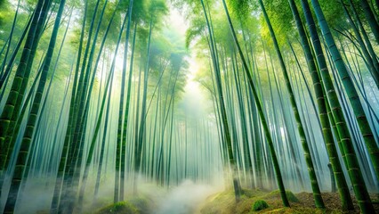 A breathtaking view of a bamboo forest enveloped in thick fog, nature, serene, misty, tranquil, greenery, peaceful, mystical