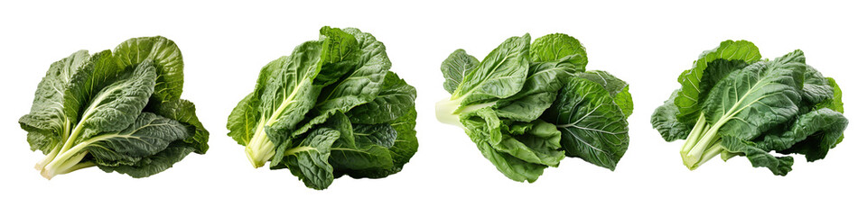Obraz premium Set of fresh collard leaves isolated on transparent background