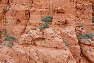 Red rock face and shrubs in Ivins, Utah, United States of America.