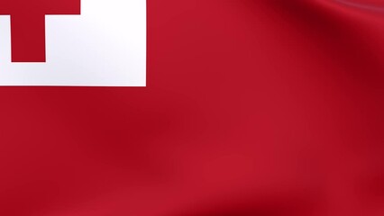 Waving flag of Tonga Animation 3D render Method