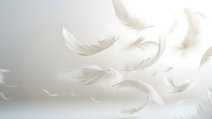 Obraz premium A serene background with delicate feathers floating in the air, creating an ethereal and dreamy atmosphere. The white color scheme adds to its peaceful ambiance.