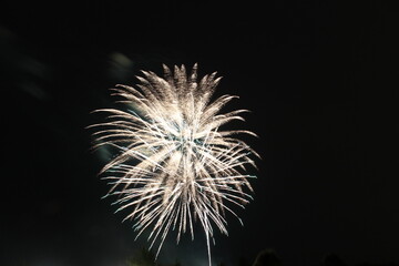 Fototapeta premium Fireworks Show