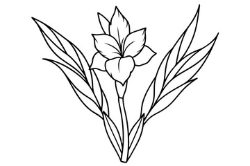 Minimalist stems and leaves vector art illustration