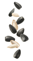 Flying and falling sunflower seeds isolated on white background. Vertical layout