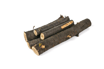 Fresh Black Salsify Roots on White Background - Edible Root Vegetable in Stock Photography