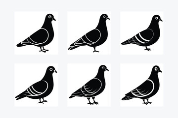 Pigeon vector silhouette