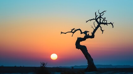 Sunset Over a Dried-Up Lake