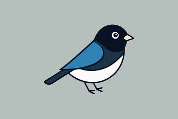 Obraz premium Dark-Eyed Junco bird learns icon vector illustration