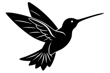 a black hummingbird iconn silhouette vector on white background © bizboxdesigner
