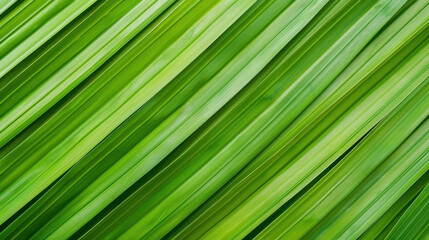 Fototapeta premium Vintage toned abstract green striped nature background with textured plant leaf for natural eco design.
