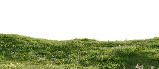 A green hill blooming with yellow and blue flowers in spring. 3D rendering.
