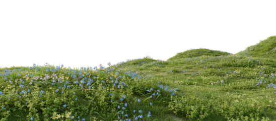 A green hill blooming with yellow and blue flowers in spring. 3D rendering.