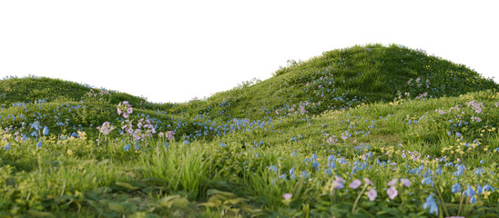 A green hill blooming with yellow and blue flowers in spring. 3D rendering.