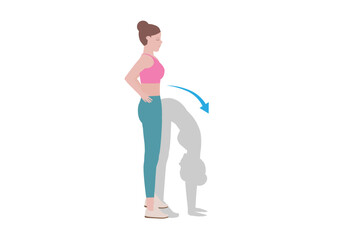 Woman doing cool down after exercises. for doing Standing Forward Bend which it is regarded a stress-relieving pose. Traditionally, it is said to help relieve insomnia. Illustration cartoon style.