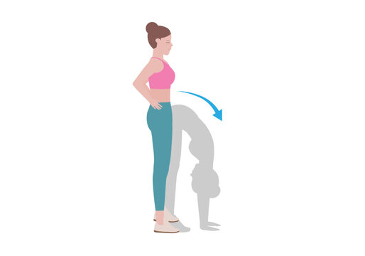 Woman doing cool down after exercises. for doing Standing Forward Bend which it is regarded a stress-relieving pose. Traditionally, it is said to help relieve insomnia. Illustration cartoon style.