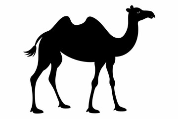 Fototapeta premium Camel silhouette vector style on a white background