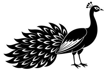 Peacock icon silhouette vector art illustration