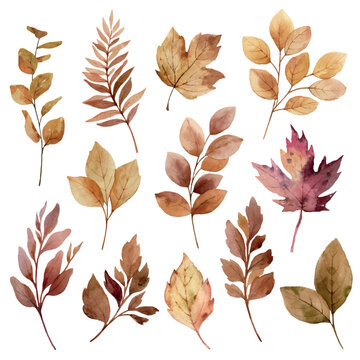 Colorful vector autumn folliage clipart. Set of fall dry leaves. Hand painted illustration for greeting cards, wedding invitations, floral poster and decorations.
