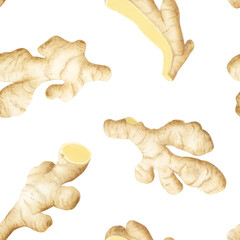 Ginger root whole and cut watercolor seamless pattern on white. Hand drawn background with horseradish vegetable for kitchen textile, organic healthy food packaging, menu or herbal designs