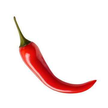 Fresh red chili isolated on transparent background, fresh vegetable 