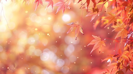 Fototapeta premium Autumn leaf arrangement colorful maple leaves soft light effects ideal backgrounds decorative concepts red yellow forest nature
