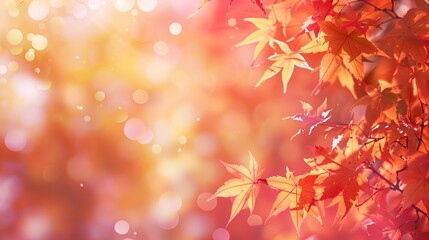 Fototapeta premium Autumn Maple Leaves With Warm Glowing Background And Soft Bokeh Creating Bright Seasonal Atmosphere For Nature-Inspired Designs