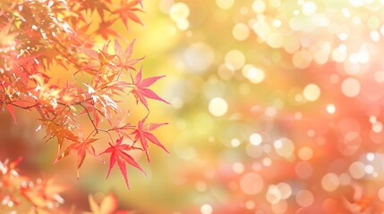 Fototapeta premium Colorful Fall Maple Leaves Against Radiant Light With Gentle Sparkle Effects Ideal For Seasonal Creative Projects And Background Use