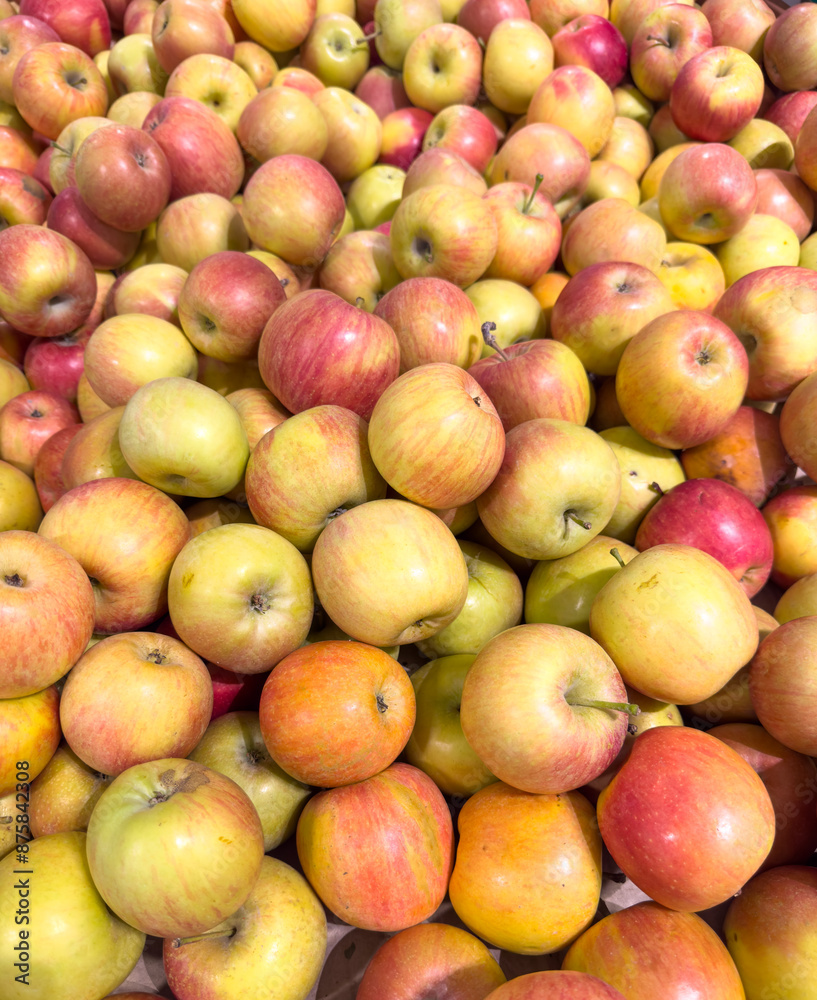 Sticker Red ripe apples on the Market showcase. Background