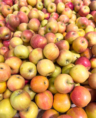 Red ripe apples on the Market showcase. Background