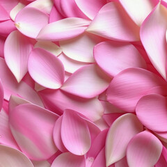 Obraz premium fresh, delicate pink flower petals
