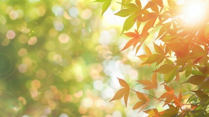 Fototapeta premium Seasonal atmosphere bright green maple leaves light with particles ideal spring designs summer theme during party events