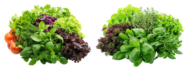 Obraz premium Fresh assortment of green and purple leafy vegetables, including basil, lettuce, and herbs. Ideal for salads and healthy meals. transparent background