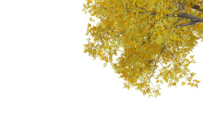 golden christmas decoration