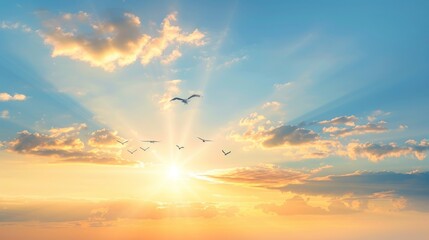 Obraz premium Golden Sky at Sunset with Birds in Flight