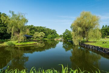 Obraz premium 初夏の古河公方公園の風景