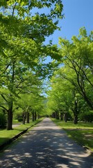 Obraz premium The path in the park