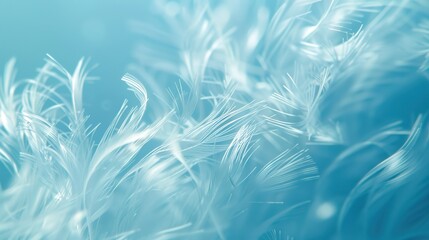 Fototapeta premium Delicate, wispy lines on a calming blue background 