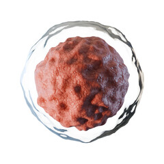 realistic 3d human cell, biology science concept