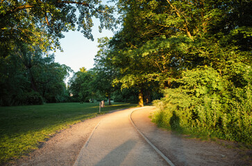 Obraz premium peaceful pathway winding through a lush green park at sunset