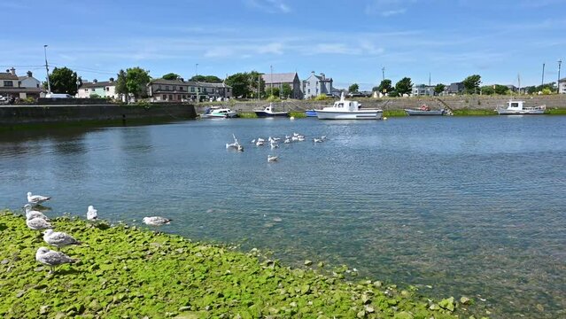 Picturesque view of the River Corrib in Galway, Ireland, featuring a sandy riverside, seagulls in flight, and small boats anchored along the shore