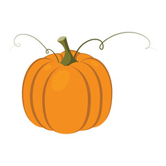 Orange flat illustration of a pumpkin with green swirls. Autumn harvest. Autumn harvest. Halloween pumpkin. Thanksgiving pumpkin.