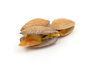Closed up fresh baby clams, venus shell, shellfish, carpet clams, short necked clams, as raw food from the sea are the seafood ingredients. fresh clams Background.