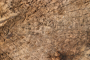 Old wooden texture for background that has natural cracks.