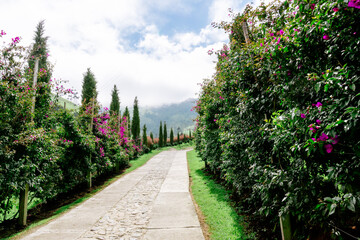 Beautiful scenery of the Cocora Valley in Colombia. Trips and beautiful towns. Palm trees.